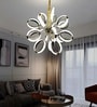 Miraggio Modern LED Chandelier Light