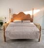 Miramar Acacia Wood Queen Sized Bed in Natural Finish