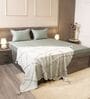 Mist Green 100% Cotton 300TC Solid Set of 2 Pillow Covers (Quilted)