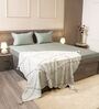 Mist Green 100% Cotton 300TC Solid Superking Bedsheet with 2 Pillow Covers (Quilted)