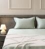 Mist Green 100% Cotton 300TC Solid Superking Bedsheet with 2 Pillow Covers (Quilted)