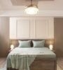 Mist Green 100% Cotton 300TC Solid Superking Bedsheet with 2 Pillow Covers (Quilted)