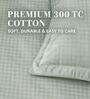 Green 300TC 100% Cotton Flat Chekered Super King Bedsheet with 2 Pillow Covers
