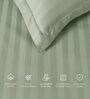 Green 300TC 100% Cotton Stripe Flat Super King Bedsheet with 2 Pillow Covers