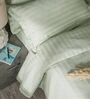 Green 300TC 100% Cotton Stripe Flat Super King Bedsheet with 2 Pillow Covers