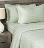 Green 300TC 100% Cotton Stripe Flat Super King Bedsheet with 2 Pillow Covers