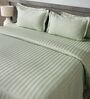 Green 300TC 100% Cotton Stripe Flat Super King Bedsheet with 2 Pillow Covers