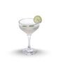 Mistic 220 ml Coupe Set of 6 from Brazil | Crystal Red & White Wine Glasses for Home, Bar, Parties | Elegant Stemware for Cabernet, Pinot Noir, Chardonnay & More