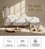 Misty Moon Kids Toddler Bed In Light Grey Colour