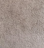 Misty Moon Kids Twin Bed In Light Grey Colour