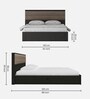 Miya Queen Size Bed in Wenge Finish with Drawer Storage