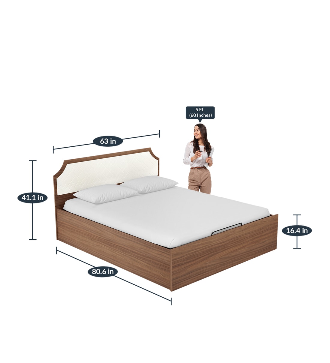 Buy Morf Queen Size Bed in Brown & Cream Finish with Hydraulic Storage