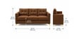 Modern Brown Tufted 3 Seater Sofa With Golden Legs Finish Modern Brown Tufted 3 Seater Sofa With Golden Legs Finish