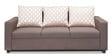 Modesto 3 Seater Sofa in Brown Colour