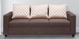 Modesto 3 Seater Sofa in Brown Colour