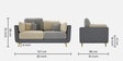 Montez Velvet 2 Seater Sofa in Grey & Beige Colour