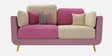 Montez Velvet 2 Seater Sofa in Pink & Beige Colour