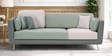 Montez Velvet 3 Seater Sofa in Olive Clay Colour