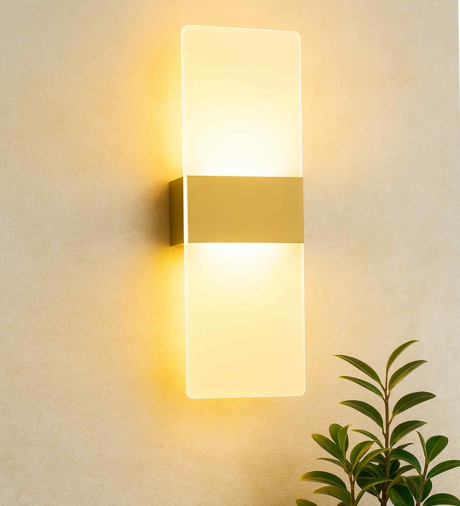 Modern LED Acrylic Wall Light