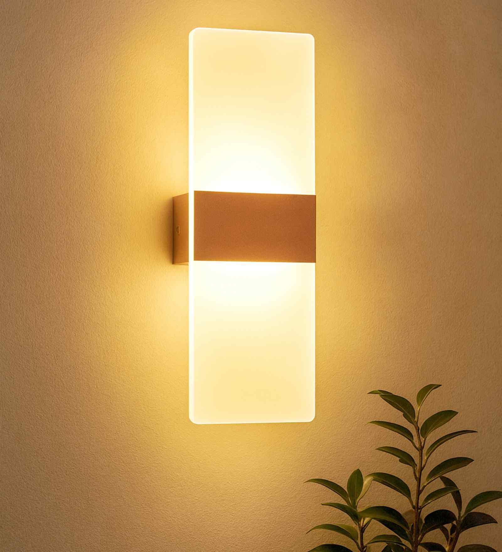 Modern LED Acrylic Wall Light