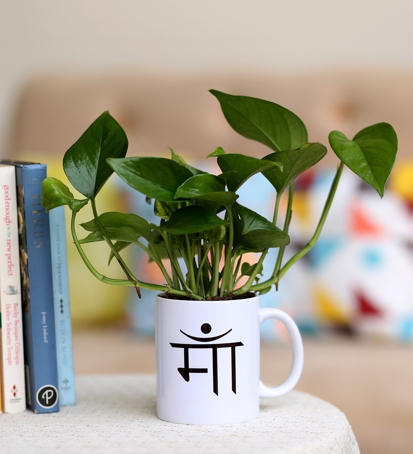 Money Plant In Maa Printed Mug