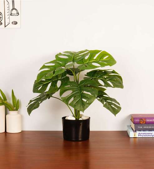 Artificial Monstera Plant 55Cm