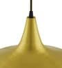 Golden Metal Dome Hanging Light
