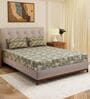 Grey Floral 120 TC Cotton Double Size Bedsheet With 2 Pillow Covers