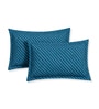 Blue Floral 120 TC Cotton Double Size Bedsheet With 2 Pillow Covers