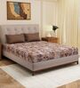 Maroon Floral 120 TC Cotton Double Size Bedsheet With 2 Pillow Covers