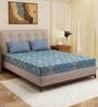 Blue Geometric 120 TC Cotton Double Size Bedsheet With 2 Pillow Covers
