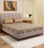 Brown Geometric 120 TC Cotton Double Size Bedsheet With 2 Pillow Covers