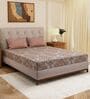 Grey Geometric 120 TC Cotton Double Size Bedsheet With 2 Pillow Covers