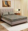 Blue Leaf 120 TC Cotton Double Size Bedsheet With 2 Pillow Covers
