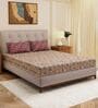 Red Paisley 120 TC Cotton Double Size Bedsheet With 2 Pillow Covers