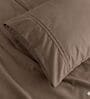 Mocha 400TC  Solid Embroidery Superking Bedsheet with 2 Pillow Covers