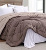 Mocha Brown Polycotton Solid 350 GSM Double Bed Reversible Quilted Comforter
