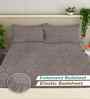 Mocha Ethnic 300 TC Cotton Blend King Size Fitted Embossed Double Bedsheet with 2 Pillow Covers