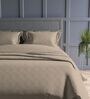 Mocha Geometric 300TC Cotton Super King Sized Double Bedsheet with 2 piping Pillow Covers