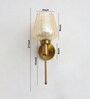 Modern  Gold Tulip Glass Wall Sconce