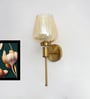 Modern  Gold Tulip Glass Wall Sconce