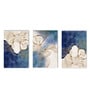 Visual Wiliness Multicolour Canvas Framed Art Panels Set of 3