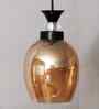 Modern Amber Glass Black Hanging light