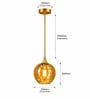 Modern Amber Glass Pendant Lights with Gold Finish