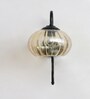 Modern Amber Hanging Black Wall Lamp