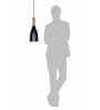 Modern Black and Gold Bottle Pendant Light