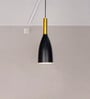 Modern Black and Gold Bottle Pendant Light