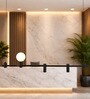 Modern Black Linear Pendant Light   Dual Globe & Spotlight Design