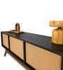 Modern Black Rattan Entertainment TV Console Cabinet