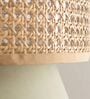Modern Boho Rattan Pendant Lamp (Beige and Brown)